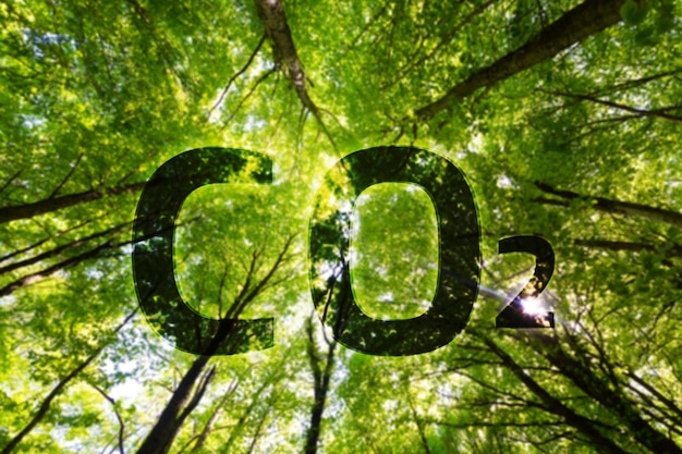 Meer Co2-tekst planten tegen groene bomen
