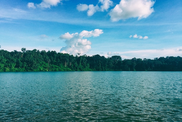 Meer en boom met blauwe hemel