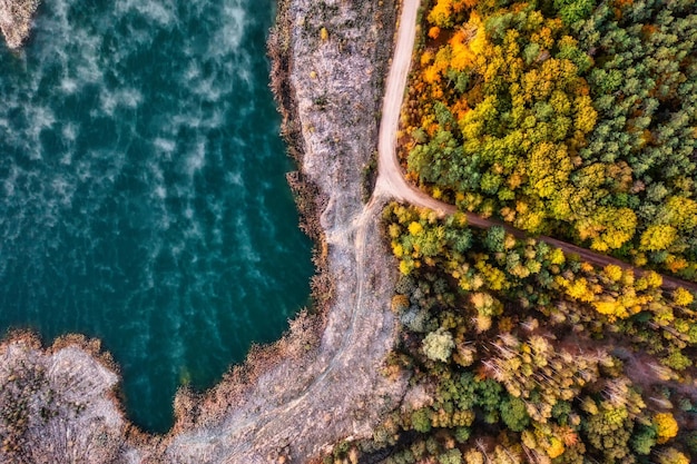 Meer en herfst naaldbos Drone uitzicht