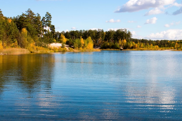 Meer en herfstbos