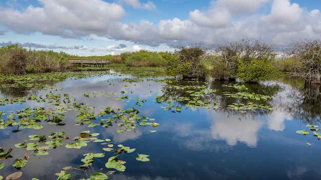 Meer en promenade in de Everglades