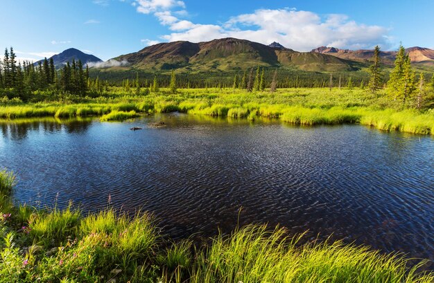 Meer in Alaska