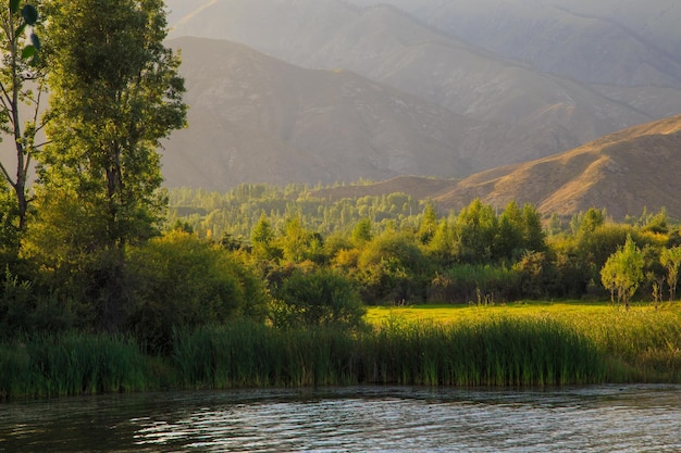 Meer in de bergen Rustige baai in het groen bij zonsondergang Rustplaats Kirgizië Meer IssykKul