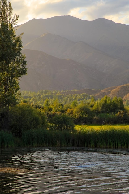 Meer in de bergen Rustige baai in het groen bij zonsondergang Rustplaats Kirgizië Meer IssykKul