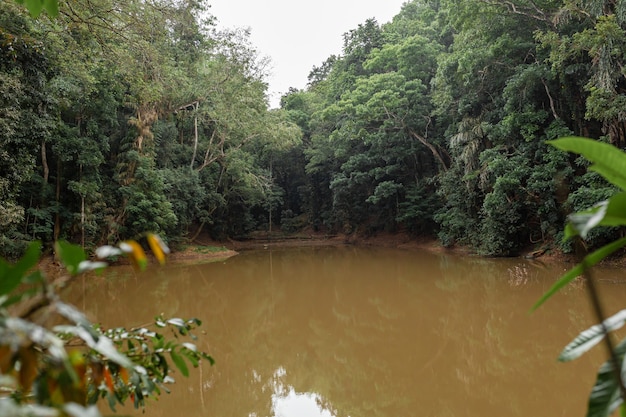 Meer in de jungle. vuil kleiwater.