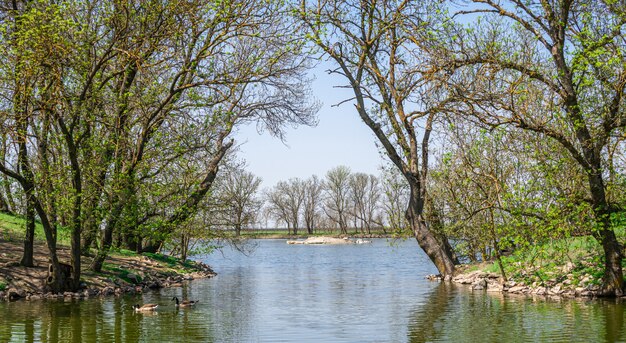 Meer in de reserve Askania-Nova in Oekraïne