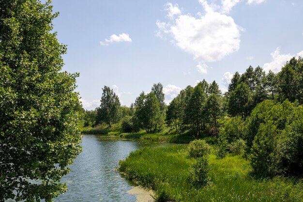 Meer in de zomer