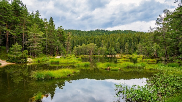 Meer in het bos Moserer See Oostenrijk