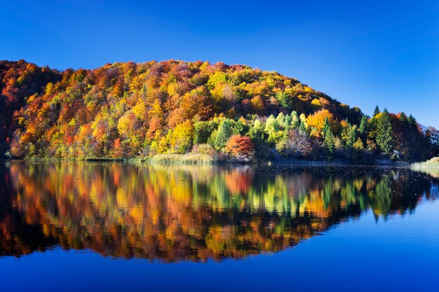 Meer in nationaal park plitvice