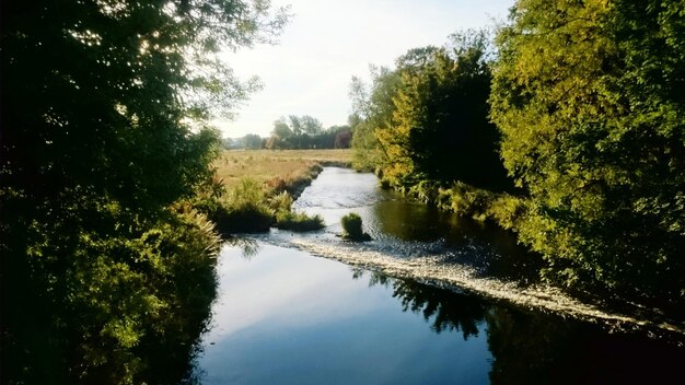 Foto meer langs bomen in het landschap