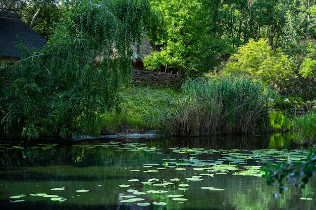 Meer met een brug. Gezellige rust. Verlaten reservoir. Vrije tijd in de natuur. Brug in het moeras