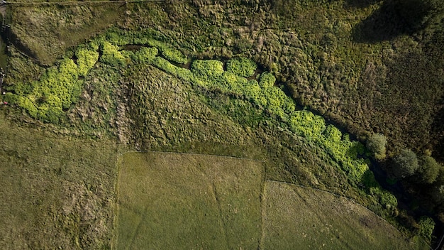 Meer met mos in rebild bakker in denemarken