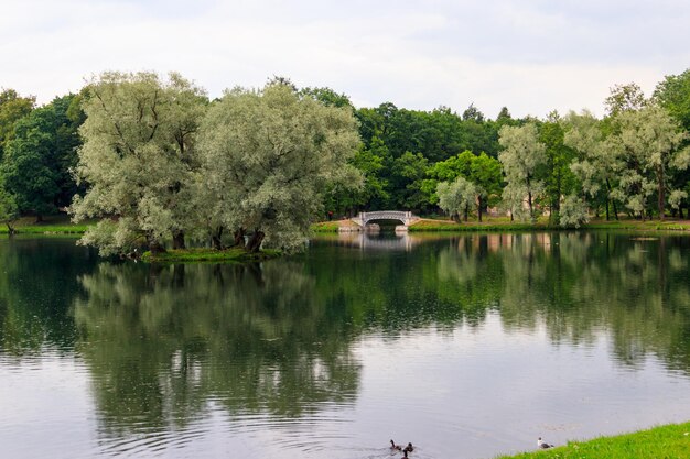 Meer met oude brug in een park in Gatchina, Rusland