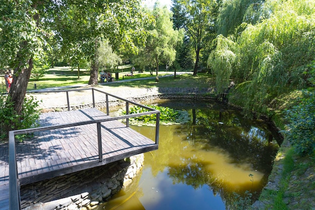 Meer met waterlelies in Roemenië