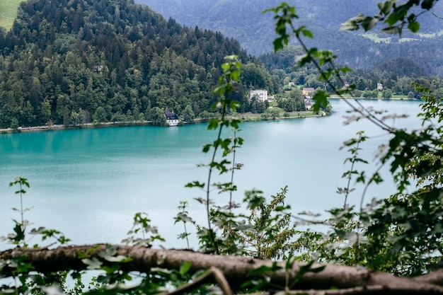 Foto meer van bled in slovenië