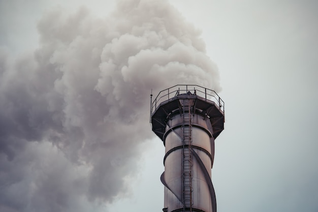 Meerdere biomassacentrales van rietpulp vernietigt schoorstenen Emissie koolstofdioxidevervuiling