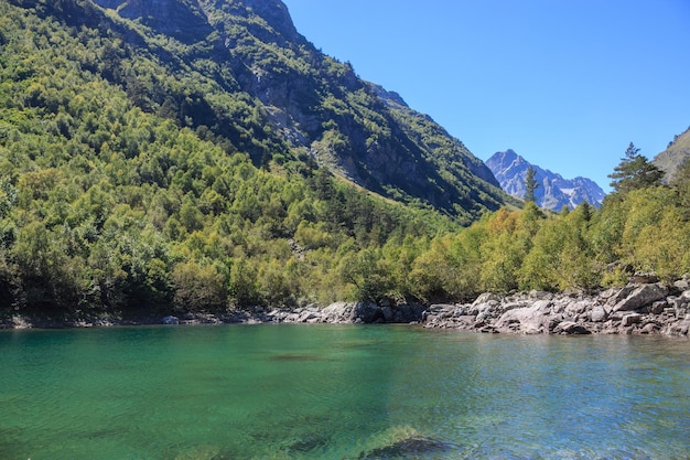 Meerscènes in bergen, nationaal park Dombai, Kaukasus, Rusland, Europa. Zonneschijnweer, blauwe kleurenhemel, verre groene bomen. Kleurrijke zomerdag, tijd