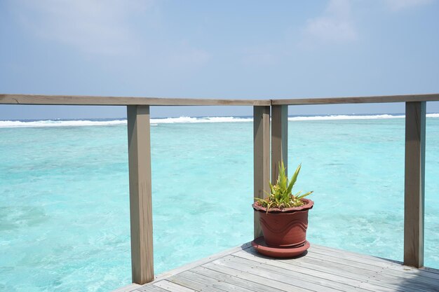 Photo meeru island resort maldives