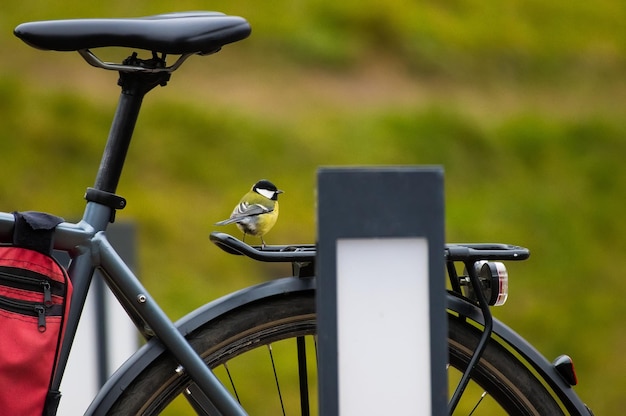 Mees zittend op de kofferbak van een fiets in de stad