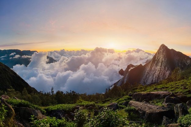 Meesapulimala peak in West Ghats at sunrise