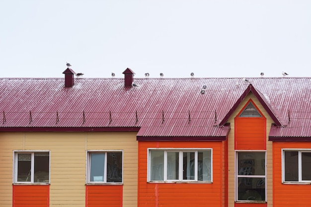 Meeuwen zitten op het dak van een houten huis