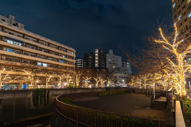 Photo meguro river winter illumination festival beautiful view popular tourist attractions travel