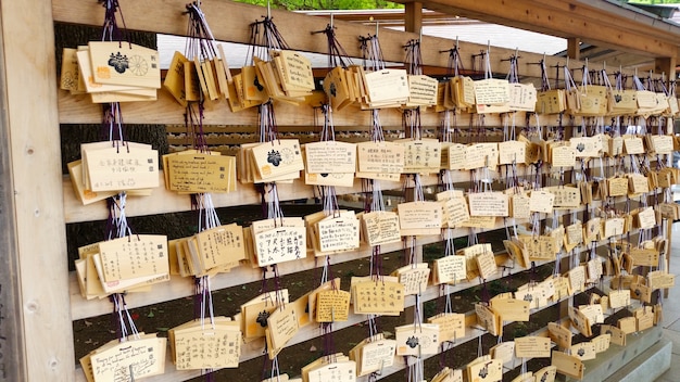 Meiji Shrine at Harajuku,tokyo.