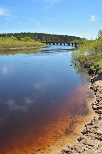 Meiochtend bij de bosrivier