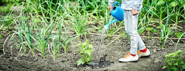 Meisje dat een bloembed water geeft uit een gieter in de tuin