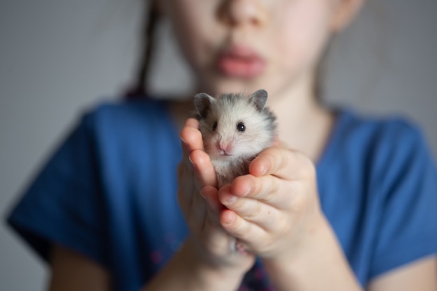 Meisje dat een hamster houdt