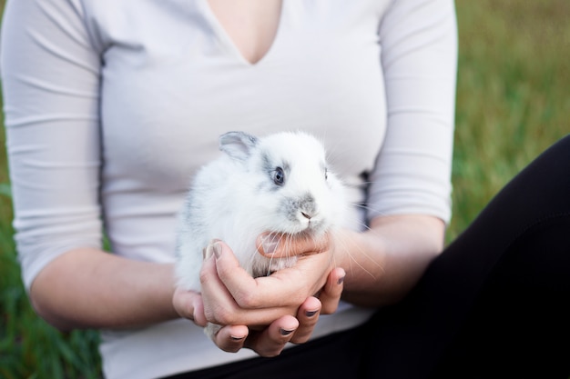 Meisje dat een klein konijn op een groene weide houdt.