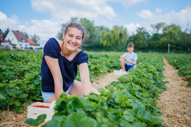 meisje en haar broer aardbeien verzamelen in een veld