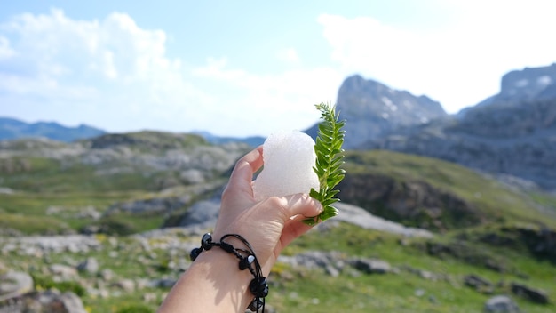 Meisje houdt in de zomer een sneeuwbal en een blad in de natuur