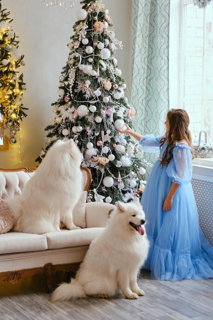 Meisje in een lichtblauwe jurk met twee witte Samojeed-honden in de studio