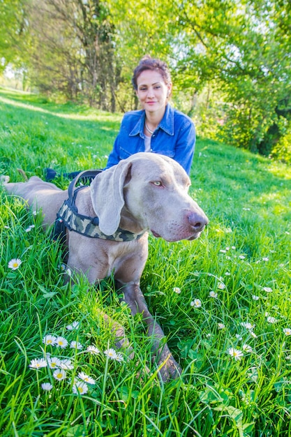 Meisje in het park met hond weimaraner