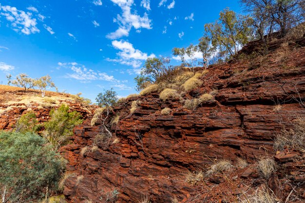 meisje in korte broek wandelen in Karijini National Park, West-Australië wandelen aan de rand van een kloof