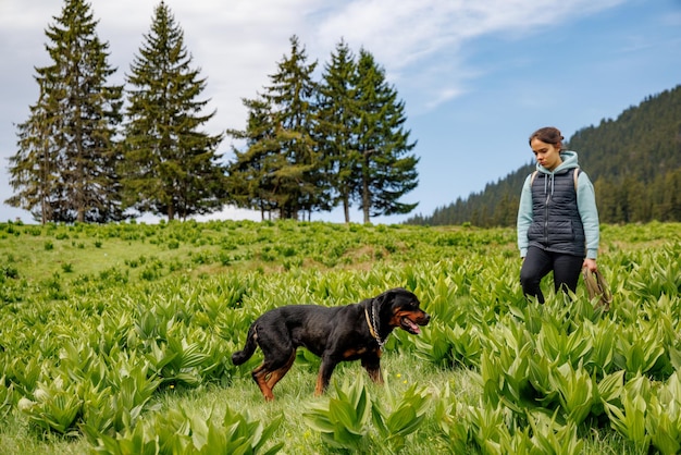 Meisje in pak loopt met hond van Rottweiler-ras langs weide met bergvegetatie tegen de achtergrond van bomen