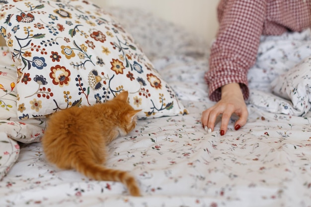 Meisje in pyjama speelt met kleine schattige gemberkat Het kitten valt handen aan en probeert ze te vangen