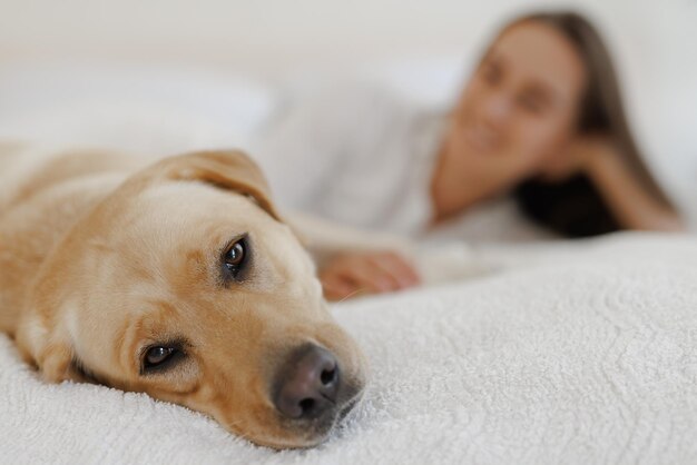 Meisje in witte kleren met hond labrador die thuis speelt