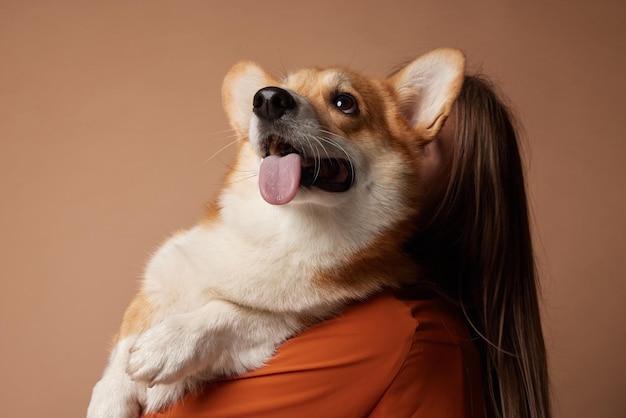 Meisje knuffelt Pembroke Welsh Corgi op een beige schone achtergrond in de studio liefde voor dieren