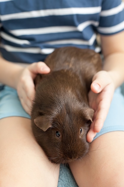 Meisje liggend op het gras en cavia aaien.