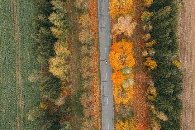 Meisje ligt in esdoorn bladeren top view luchtfoto met drone