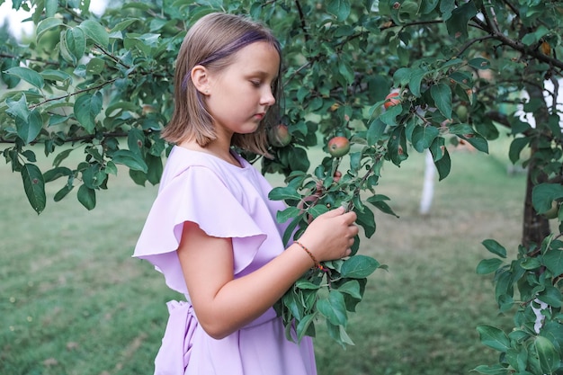 Meisje met appel in de appelboomgaard. Mooi meisje dat biologische appel eet in de boomgaard. Oogstconcept. Tuin, Peuter die fruit eet bij de herfstoogst.