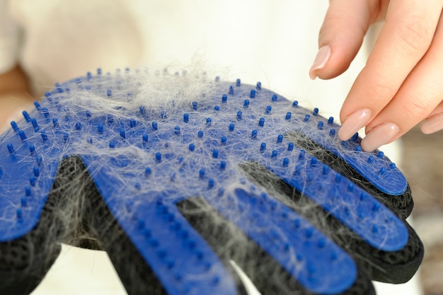 Meisje met het afwerpen van de kat, het baden, het verzorgen, het deshedding van handschoen.