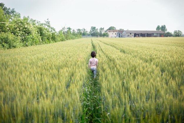 Meisje met kort haar in roze top loopt weg in groen tarwe veld