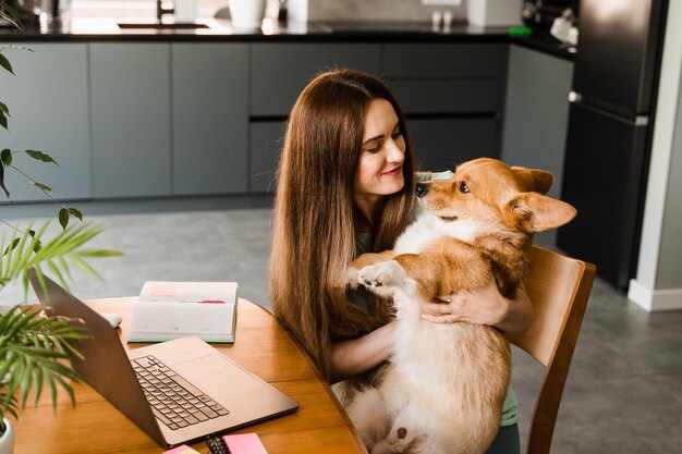 Meisje met laptop glimlacht en speelt thuis met Corgi-hond Programmeurvrouw die online werkt en een pauze heeft om haar hond te knuffelen Plezier hebben met Welsh Corgi Pembroke