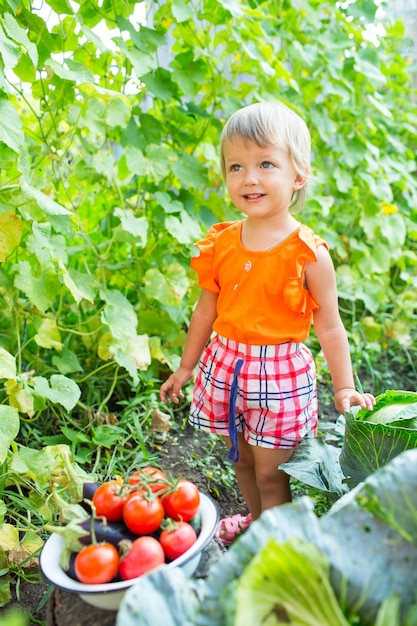 Meisje met oogstgroenten in de tuin