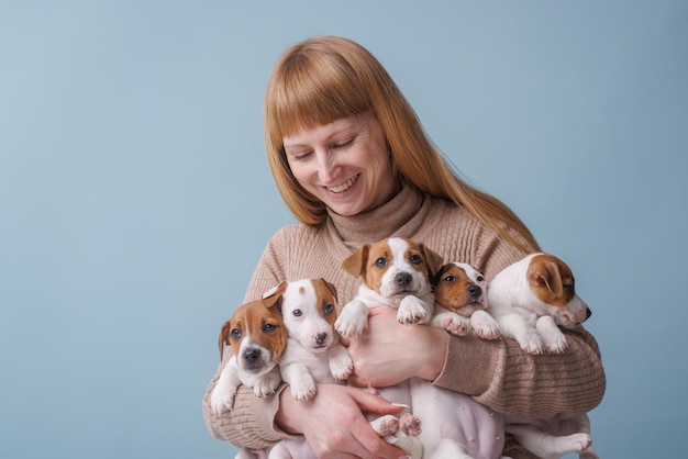 Meisje met veel jack russell terrier-puppy's op een blauwe achtergrond