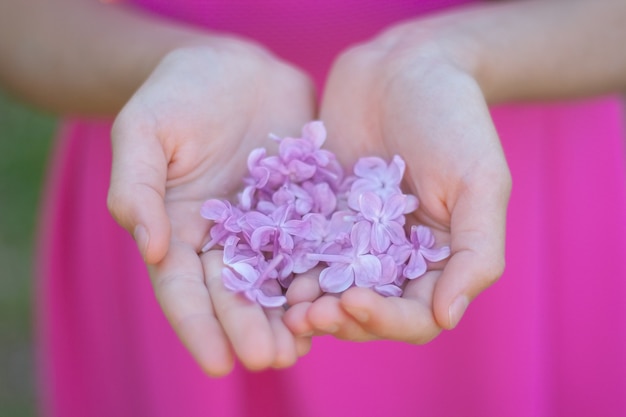 Meisje met vers geplukte lila bloemen in haar handpalmen close-up