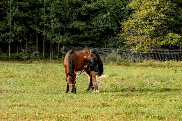 meisje op een wandeling met een mooi bruin paard op een zomeravond in de buurt van het bos